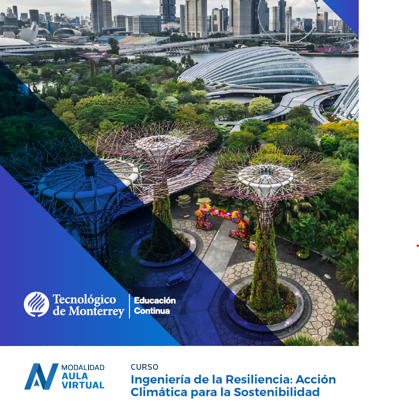 Curso: Ingenieria de la Resiliencia
